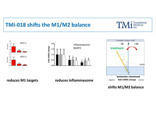 shifts M1/M2 balance
TMi-018 shifts the M1/M2 balance
reduces M1 targets reduces inflammasome
 