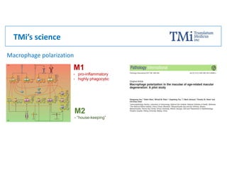TMi’s science
Macrophage polarization
M1
- pro-inflammatory
- highly phagocytic
- “house-keeping”
M2
 