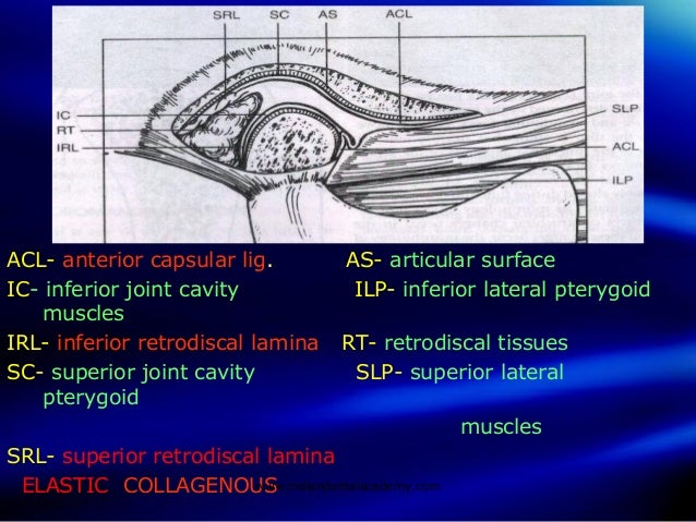 Tmj.a basic review /certified fixed orthodontic courses by India…