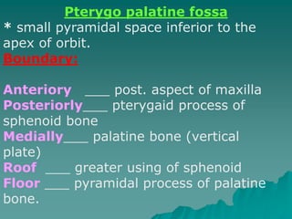 anatomy of Tmj | PPT