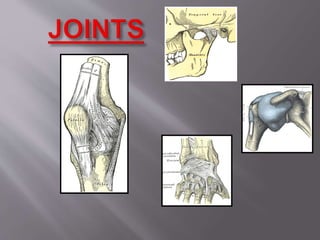 Greater Multangular Joint Tmj | PPTX