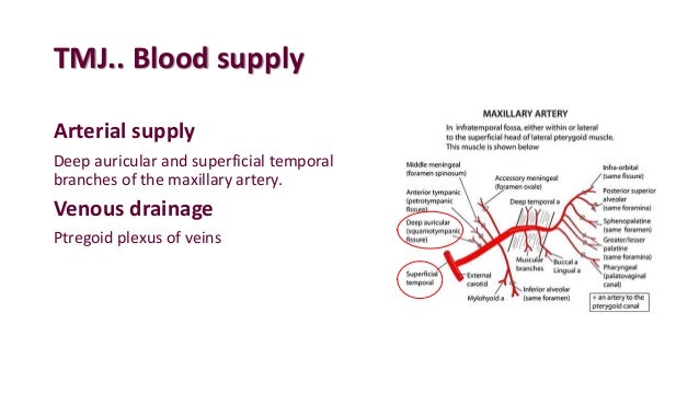 TEMPROMANDIBULAR JOINT