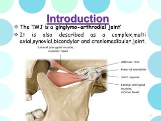 Greater Multangular Joint Tmj | PPTX