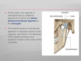  At the sides, the capsule is
strengthened by collateral
ligaments of which the lateral
temporomandibular ligament is
the strongest.
 The lateral temporo-mandibular
ligament is attached above to the
zygoma, and below, it is attached
to the lateral surfaces and
posterior border of the neck of the
mandible.
 