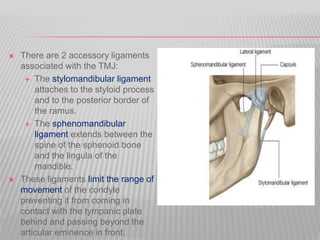  There are 2 accessory ligaments
associated with the TMJ:
 The stylomandibular ligament
attaches to the styloid process
and to the posterior border of
the ramus.
 The sphenomandibular
ligament extends between the
spine of the sphenoid bone
and the lingula of the
mandible.
 These ligaments limit the range of
movement of the condyle
preventing it from coming in
contact with the tympanic plate
behind and passing beyond the
articular eminence in front.
 