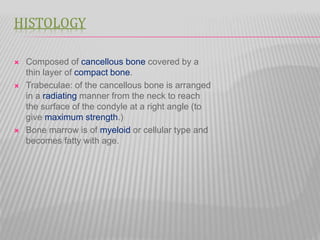HISTOLOGY
 Composed of cancellous bone covered by a
thin layer of compact bone.
 Trabeculae: of the cancellous bone is arranged
in a radiating manner from the neck to reach
the surface of the condyle at a right angle (to
give maximum strength.)
 Bone marrow is of myeloid or cellular type and
becomes fatty with age.
 