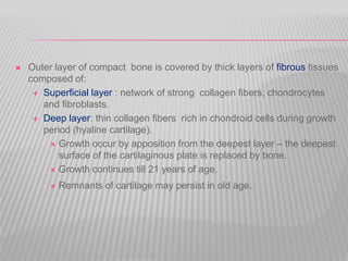  Outer layer of compact bone is covered by thick layers of fibrous tissues
composed of:
 Superficial layer : network of strong collagen fibers, chondrocytes
and fibroblasts.
 Deep layer: thin collagen fibers rich in chondroid cells during growth
period (hyaline cartilage).
 Growth occur by apposition from the deepest layer – the deepest
surface of the cartilaginous plate is replaced by bone.
 Growth continues till 21 years of age.
 Remnants of cartilage may persist in old age.
 