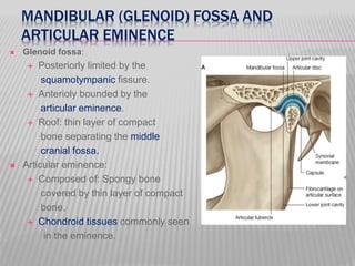 MANDIBULAR (GLENOID) FOSSA AND
ARTICULAR EMINENCE
 Glenoid fossa:
 Posteriorly limited by the
squamotympanic fissure.
 Anterioly bounded by the
articular eminence.
 Roof: thin layer of compact
bone separating the middle
cranial fossa.
 Articular eminence:
 Composed of: Spongy bone
covered by thin layer of compact
bone.
 Chondroid tissues commonly seen
in the eminence.
 