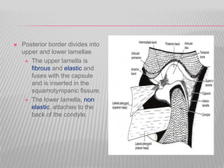  Posterior border divides into
upper and lower lamellae
 The upper lamella is
fibrous and elastic and
fuses with the capsule
and is inserted in the
squamotympanic fissure.
 The lower lamella, non
elastic, attaches to the
back of the condyle.
 