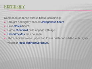 HISTOLOGY
Composed of dense fibrous tissue containing:
 Straight and tightly packed collagenous fibers
 Few elastic fibers.
 Some chondroid cells appear with age.
 Chondrocytes may be seen.
 The space between upper and lower posterior is filled with highly
vascular loose connective tissue.
 