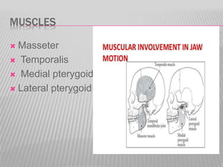 MUSCLES
 Masseter
 Temporalis
 Medial pterygoid
 Lateral pterygoid
 