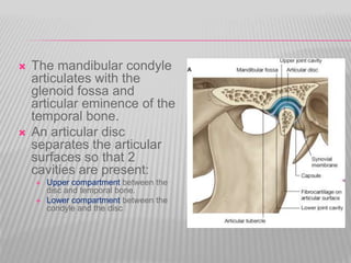  The mandibular condyle
articulates with the
glenoid fossa and
articular eminence of the
temporal bone.
 An articular disc
separates the articular
surfaces so that 2
cavities are present:
 Upper compartment between the
disc and temporal bone.
 Lower compartment between the
condyle and the disc
 