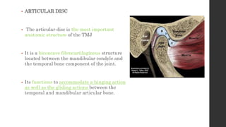 • ARTICULAR DISC
• The articular disc is the most important
anatomic structure of the TMJ
• It is a biconcave fibrocartilaginous structure
located between the mandibular condyle and
the temporal bone component of the joint.
• Its functions to accommodate a hinging action
as well as the gliding actions between the
temporal and mandibular articular bone.
 