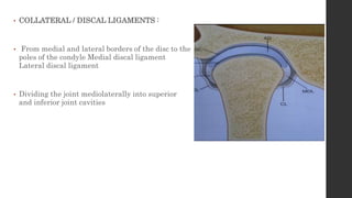• COLLATERAL / DISCAL LIGAMENTS :
• From medial and lateral borders of the disc to the
poles of the condyle Medial discal ligament
Lateral discal ligament
• Dividing the joint mediolaterally into superior
and inferior joint cavities
 