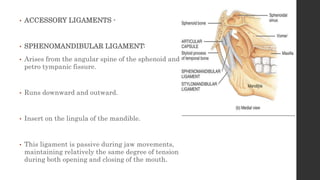 • ACCESSORY LIGAMENTS -
• SPHENOMANDIBULAR LIGAMENT:
• Arises from the angular spine of the sphenoid and
petro tympanic fissure.
• Runs downward and outward.
• Insert on the lingula of the mandible.
• This ligament is passive during jaw movements,
maintaining relatively the same degree of tension
during both opening and closing of the mouth.
 