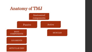Anatomy of TMJ
Passive Active
Anatomical
components
BONY
COMPONENTS
LIGAMENTS
ARTICULAR DISC
MUSCLES
 