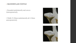 • MANDIBULAR CONYLE
• Rounded mediolaterally and convex
Anteroposteriorly
• Width 15-20mm mediolaterally & 8-10mm
anteroposteriorly
8-10mm
15-20mm
 