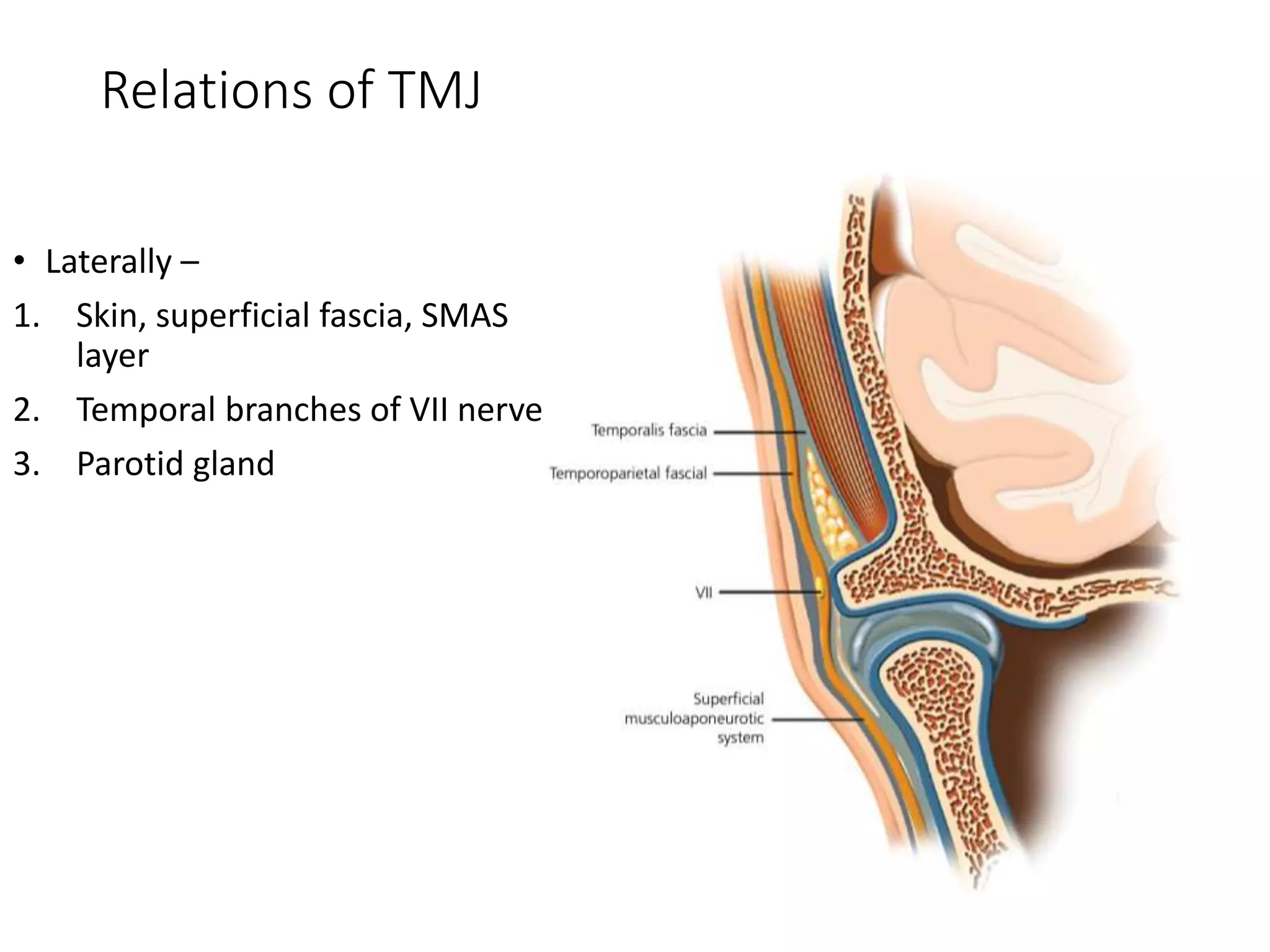 Tmj Relations Surgical Anatomy of Temporomandibular Joint | PPTX