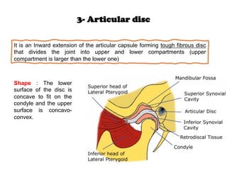 tmj tempromandibular jointanatomy and histology.pdf