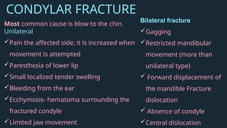 Condyle Pain temporomandibular joint anatomy and physiology | PPTX