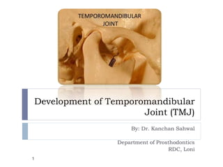 Development of Temporomandibular
Joint (TMJ)
By: Dr. Kanchan Sahwal
Department of Prosthodontics
RDC, Loni
1
 