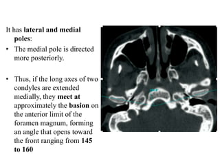 It has lateral and medial
poles:
• The medial pole is directed
more posteriorly.
• Thus, if the long axes of two
condyles are extended
medially, they meet at
approximately the basion on
the anterior limit of the
foramen magnum, forming
an angle that opens toward
the front ranging from 145
to 160
 