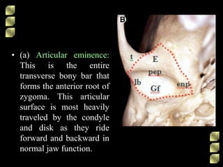 • (a) Articular eminence:
This is the entire
transverse bony bar that
forms the anterior root of
zygoma. This articular
surface is most heavily
traveled by the condyle
and disk as they ride
forward and backward in
normal jaw function.
 