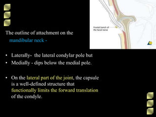 The outline of attachment on the
mandibular neck -
• Laterally- the lateral condylar pole but
• Medially - dips below the medial pole.
• On the lateral part of the joint, the capsule
is a well-defined structure that
functionally limits the forward translation
of the condyle.
 