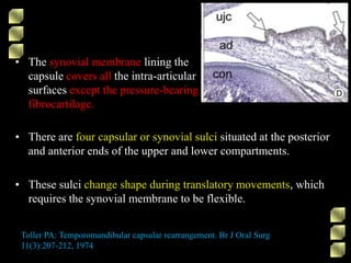 • The synovial membrane lining the
capsule covers all the intra-articular
surfaces except the pressure-bearing
fibrocartilage.
Toller PA: Temporomandibular capsular rearrangement. Br J Oral Surg
11(3):207-212, 1974
• There are four capsular or synovial sulci situated at the posterior
and anterior ends of the upper and lower compartments.
• These sulci change shape during translatory movements, which
requires the synovial membrane to be flexible.
 
