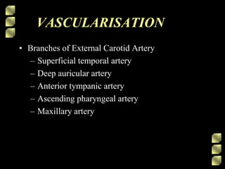 VASCULARISATION
• Branches of External Carotid Artery
– Superficial temporal artery
– Deep auricular artery
– Anterior tympanic artery
– Ascending pharyngeal artery
– Maxillary artery
 