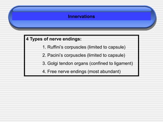 Innervations
4 Types of nerve endings:
1. Ruffini’s corpuscles (limited to capsule)
2. Pacini’s corpuscles (limited to capsule)
3. Golgi tendon organs (confined to ligament)
4. Free nerve endings (most abundant)
 