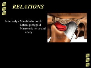 RELATIONS
Anteriorly - Mandibular notch
Lateral pterygoid
Masseteric nerve and
artery
 