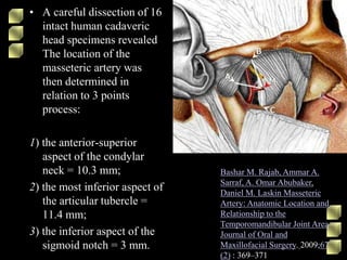 • A careful dissection of 16
intact human cadaveric
head specimens revealed
The location of the
masseteric artery was
then determined in
relation to 3 points
process:
1) the anterior-superior
aspect of the condylar
neck = 10.3 mm;
2) the most inferior aspect of
the articular tubercle =
11.4 mm;
3) the inferior aspect of the
sigmoid notch = 3 mm.
Bashar M. Rajab, Ammar A.
Sarraf, A. Omar Abubaker,
Daniel M. Laskin Masseteric
Artery: Anatomic Location and
Relationship to the
Temporomandibular Joint Area
Journal of Oral and
Maxillofacial Surgery. 2009;67
(2) : 369–371
 