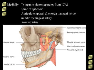 Medially - Tympanic plate (separates from ICA)
spine of sphenoid
Auriculotemporal & chorda tympani nerve
middle meningeal artery
maxillary artery
 