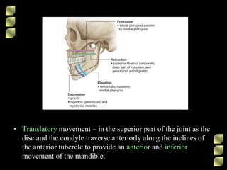 • Translatory movement – in the superior part of the joint as the
disc and the condyle traverse anteriorly along the inclines of
the anterior tubercle to provide an anterior and inferior
movement of the mandible.
 