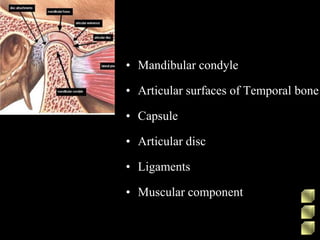 • Mandibular condyle
• Articular surfaces of Temporal bone
• Capsule
• Articular disc
• Ligaments
• Muscular component
 