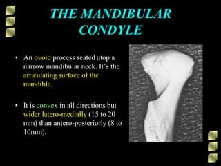 THE MANDIBULAR
CONDYLE
• An ovoid process seated atop a
narrow mandibular neck. It’s the
articulating surface of the
mandible.
• It is convex in all directions but
wider latero-medially (15 to 20
mm) than antero-posteriorly (8 to
10mm).
 