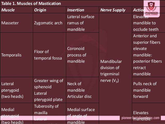 TMJ PPT By Dr.Nasser