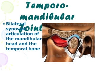 Temporomandibular
• Bilateral
synovial
Joint : TMJ
articulation of
the mandibular
head and the
temporal bone

 