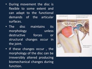 Tmj anatomy | PPTX