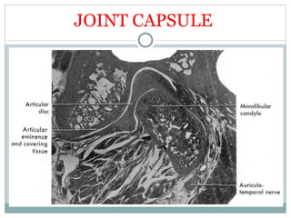 Basic Tmj tmj anatomy powerpoint presentation basic anatomy | PPT