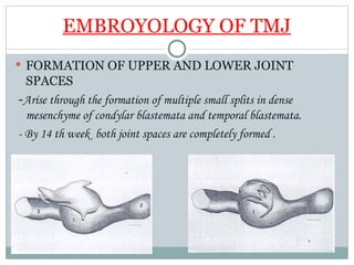 Basic Tmj tmj anatomy powerpoint presentation basic anatomy | PPT