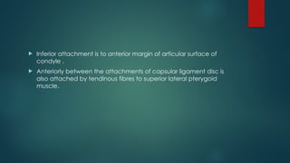  Inferior attachment is to anterior margin of articular surface of
condyle .
 Anteriorly between the attachments of capsular ligament disc is
also attached by tendinous fibres to superior lateral pterygoid
muscle.
 