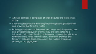  Articular cartilage is composed of chondrocytes and intercellular
matrix.
 Chondrocytes produce the collagen,proteoglycans,glycoproteins
and enzymes that form the matrix.
 Proteoglycans are complex molecules composed of a protein core
and glycosamineoglycan chaims. They are connected to a
hylauronid acid chain forming proteoglycan aggregates which are
hydrophilic and tends to bind water , the matrix expands and
tension in collagen fibres counteracts the swelling pressure of
proteoglycan aggregates.
 