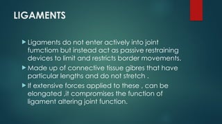 LIGAMENTS
 Ligaments do not enter actively into joint
fumctiom but instead act as passive restraining
devices to limit and restricts border movements.
 Made up of connective tissue gibres that have
particular lengths and do not stretch .
 If extensive forces applied to these , can be
elongated ,it compromises the function of
ligament altering joint function.
 