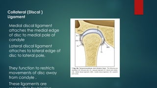 Collateral (Discal )
Ligament
Medial discal ligament
attaches the medial edge
of disc to medial pole of
condyle
Lateral discal ligament
attaches to lateral edge of
disc to lateral pole,
They function to restricts
movements of disc away
from condyle .
These ligaments are
 