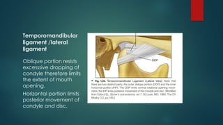 Temporomandibular
ligament /lateral
ligament
Oblique portion resists
excesssive dropping of
condyle therefore limits
the extent of mouth
opening.
Horizontal portion limits
posterior movement of
condyle and disc.
 