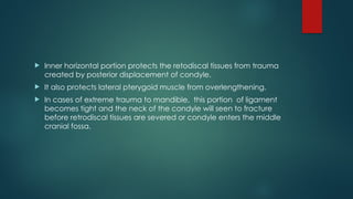 Inner horizontal portion protects the retodiscal tissues from trauma
created by posterior displacement of condyle.
 It also protects lateral pterygoid muscle from overlengthening.
 In cases of extreme trauma to mandible, this portion of ligament
becomes tight and the neck of the condyle will seen to fracture
before retrodiscal tissues are severed or condyle enters the middle
cranial fossa.
 