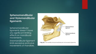 Sphenomandibular
and Stylomandibular
ligaments
Sphenomandibular
ligaments doesn’t have
any significant limiting
effects on mandibular
movements.
Stylomandibular ligament
limits excessive protrusive
movements of mandible.
 