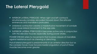 The Lateral Pterygoid
 INFERIOR LATERAL PTERGOID- When right and left contracts
simultaneously,condyles are pulled forward down the articular
eminences and mandible is protruded.
 Unilateral contraction creates a mediotrusive movement of condyle
and cause lateral movement to the opp side.
 SUPERIOR LATERAL PTERYGOID-It becomes active only in conjunction
with the elevator muscles especially during power stroke.
POWER STROKE refers to movements that involves closure of mandible
against resistance such as chewing or clenching.
Pull of lateral pterygoid is predominantly in an anterior direction but as
the condyle moves more forward,medial angulation of pull of these
muscles becomes even greater.
 